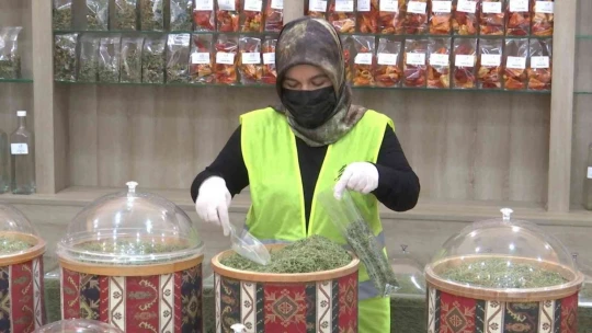 Gençlerin ürettiği bitki çayı ve sebze tohumları, Cumhurbaşkanı Erdoğan'a gönderiliyor