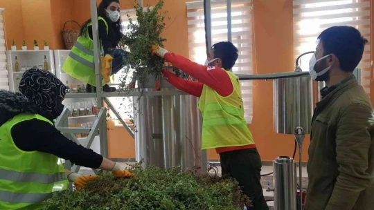 Gençlerin ürettiği bitki çayı ve sebze tohumları, Cumhurbaşkanı Erdoğan'a gönderiliyor