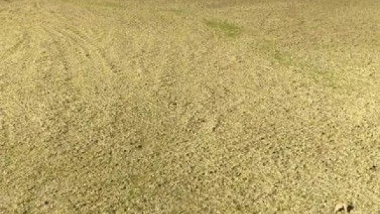 Gökmen Yıldıran antrenman sahası çimlendirildi