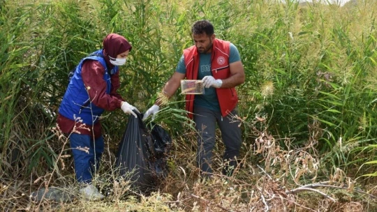 Gönüllü gençler, Hazar Gölü çevresini temizledi