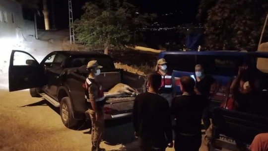 Hasta yaban keçisini 3 kilometre sırtlarında taşıdılar