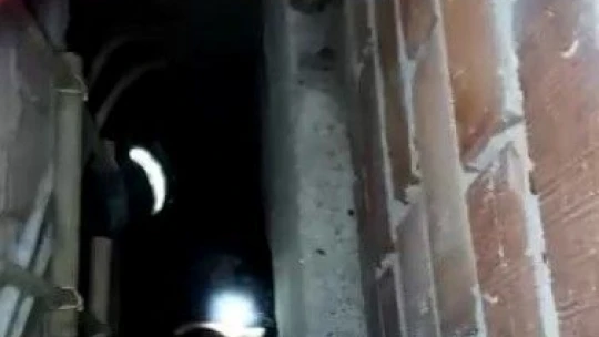 Havalandırma boşluğuna düşen kediyi itfaiye kurtardı