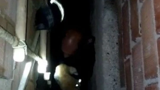 Havalandırma boşluğuna düşen kediyi itfaiye kurtardı