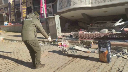 HAYDİ, deprem bölgesindeki can dostlarını yalnız bırakmadı