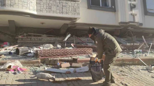 HAYDİ, deprem bölgesindeki can dostlarını yalnız bırakmadı
