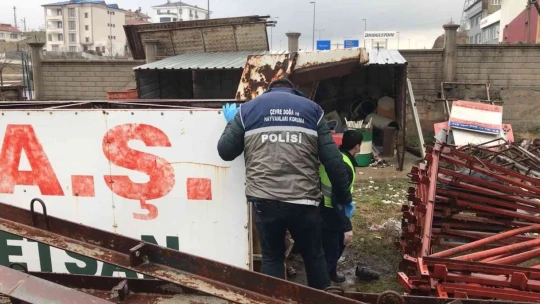 HAYDİ ekipleri yaralı anne köpek ve yavruları için seferber oldu
