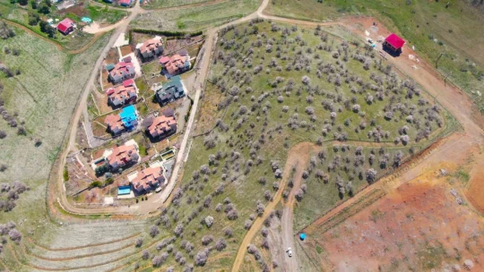 Hazar Gölü kıyısında badem ağaçları çiçek açtı, eşsiz manzara havadan görüntülendi