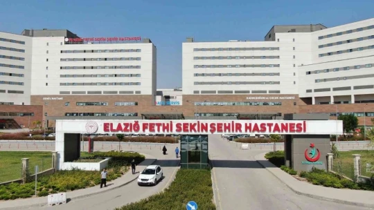 Henüz 13 aylıkken Türkiye'nin 3 bölgesini gezdi, hayata Elazığ'da tutundu