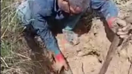 İçme suyu borusundan metrelerce ağaç kökü çıktı, görenler hayrete düştü