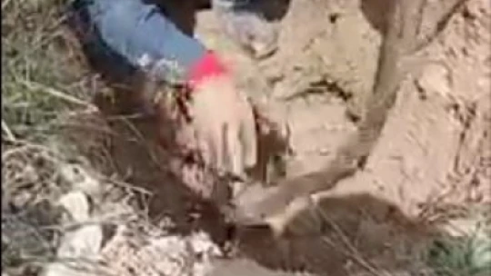 İçme suyu borusundan metrelerce ağaç kökü çıktı, görenler hayrete düştü