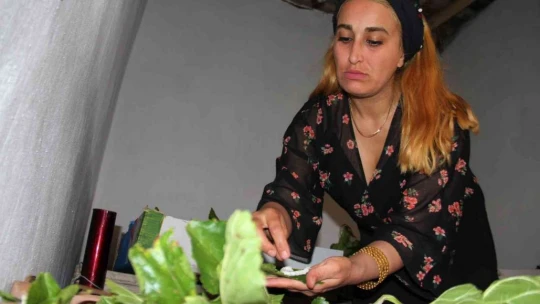 45 günde 34 bin lira kazanacaklar