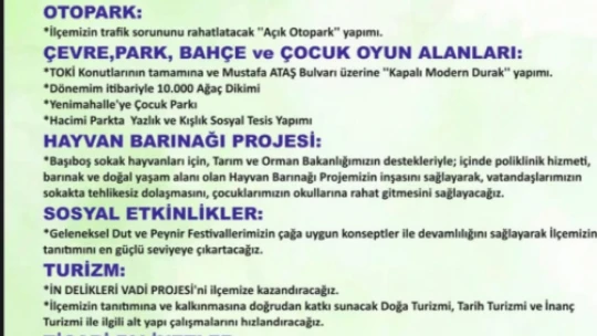 Yine Çemişgezek, Yine Altın Çocuk, Yine Skandal!
