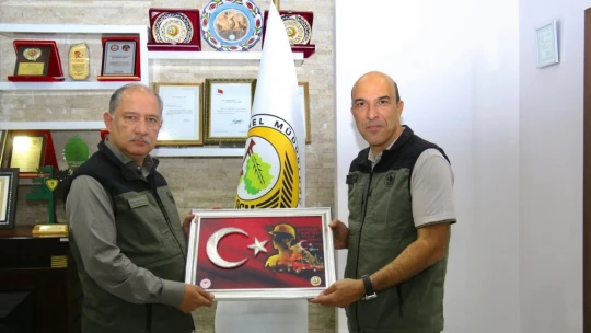 Bakan Yard. Polat, Orman Bölge Müdürlüğü Çalışmalarını Yerinde İnceledi