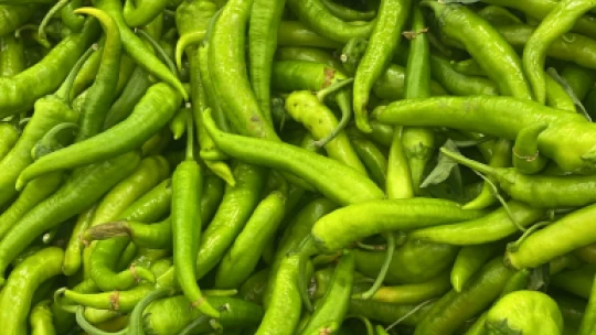 Elazığlı Vatandaş Kıbrıs'taki Fiyatları Görünce Şaşırdı