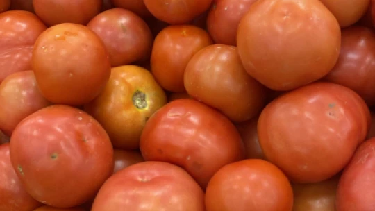 Elazığlı Vatandaş Kıbrıs'taki Fiyatları Görünce Şaşırdı