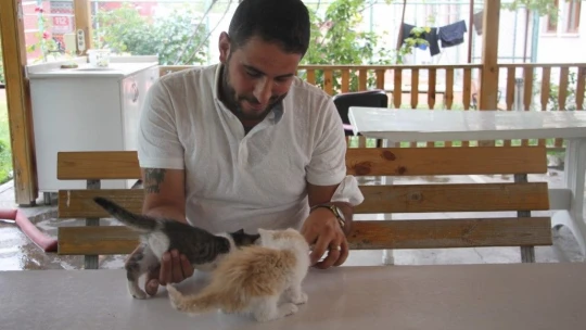 İtfaiye ekiplerinin kurtardığı yavru kedileri duyarlı vatandaş sahiplendi