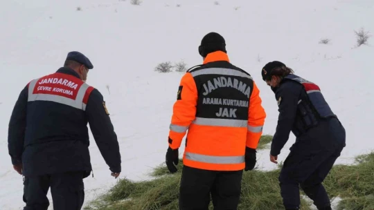 JAK ve HAYDİ ekipleri yaban hayatı için seferber oldu