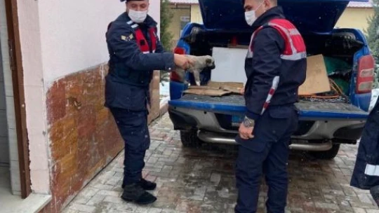 Jandarma ekipleri, anne ve yavru köpeklere sahip çıktı