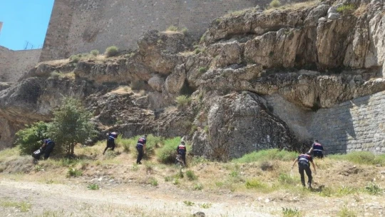 Jandarma ekipleri, çevre temizliği yaparak örnek oldu
