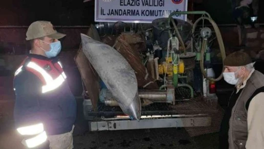 Jandarma hırsızlara göz açtırmıyor: 2 gözaltı