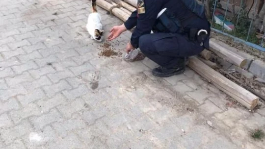 Jandarma, Ramazan ayında da sokak hayvanlarını yalnız bırakmadı