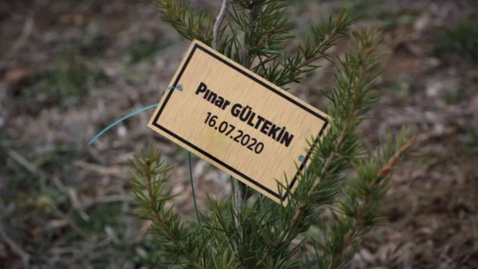 Kadın muhtar cinayete kurban giden kadınların isimlerini ağaçlarda yaşatacak