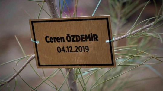 Kadın muhtar cinayete kurban giden kadınların isimlerini ağaçlarda yaşatacak