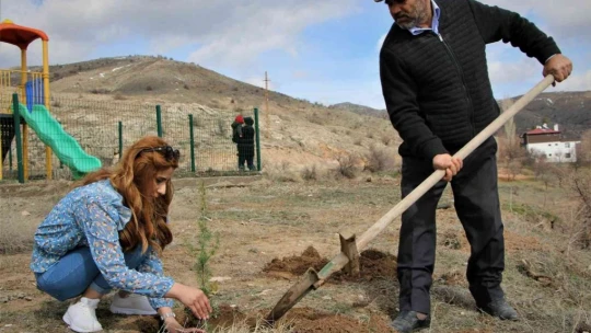 Kadın muhtar cinayete kurban giden kadınların isimlerini ağaçlarda yaşatacak