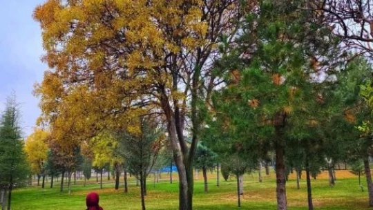 Kampüste sonbahar güzelliği