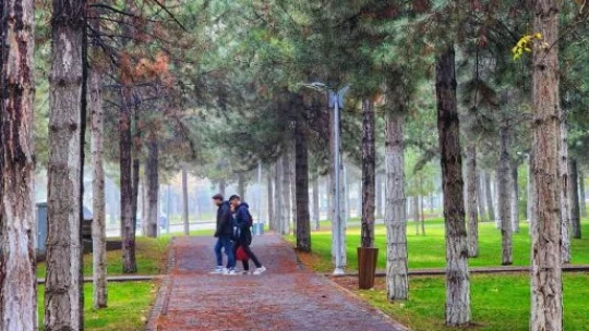 Kampüste sonbahar güzelliği