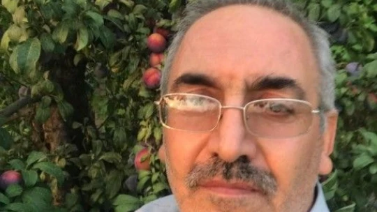 Kara erik meyvesi ağacın dalında değil, gövdesinde çıktı