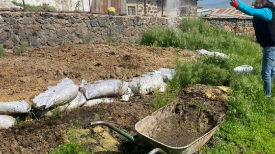 Karakoçan'da ilaçlama çalışmaları sürüyor