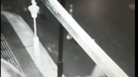 Kasa kasa meyve eksiliyordu, gerçek kamera takılınca ortaya çıktı