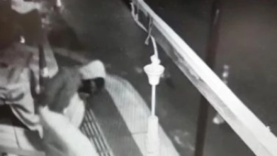 Kasa kasa meyve eksiliyordu, gerçek kamera takılınca ortaya çıktı
