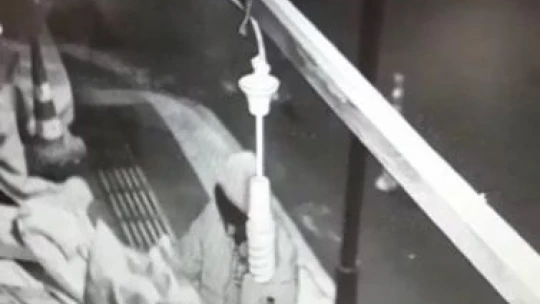 Kasa kasa meyve eksiliyordu, gerçek kamera takılınca ortaya çıktı