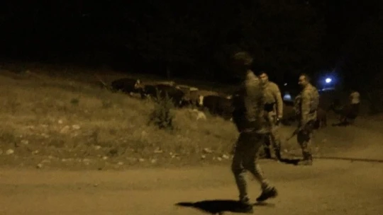 Kayıp hayvanlar, gece görüş termalleriyle bulundu