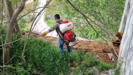 Keban'da haşere ile mücadele çalışması başladı