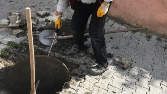 Keban'da haşere ile mücadele çalışması başladı