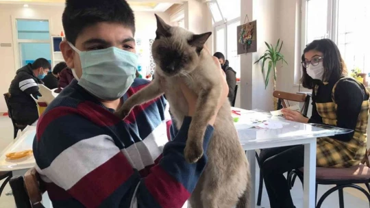 Kedi 'Helva' okulun maskotu oldu