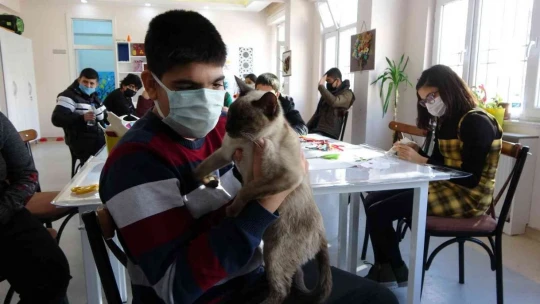 Kedi 'Helva' okulun maskotu oldu