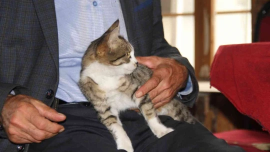 Kedi kahvehanenin maskotu oldu