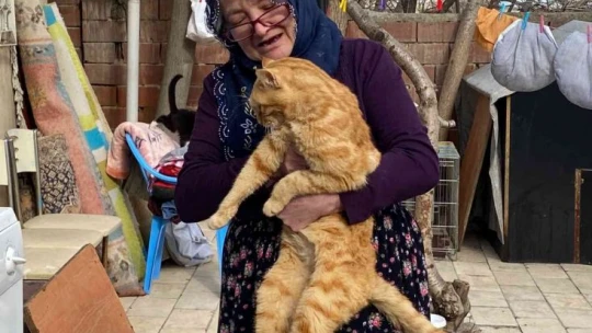 Kedilere adanan bir ömür: Nuriye Teyze, 70 kediye annelik yapıyor