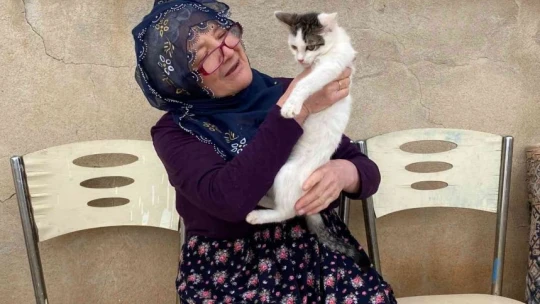 Kedilere adanan bir ömür: Nuriye Teyze, 70 kediye annelik yapıyor