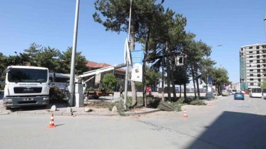 Kent Meydanı sahasındaki ağaçlar taşınacak