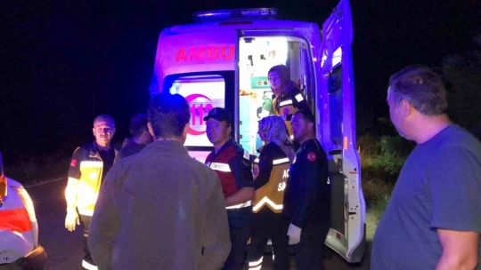 Köpeğe çarpan kamyonet şarampole uçtu: 4 yaralı