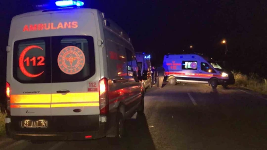 Köpeğe çarpan kamyonet şarampole uçtu: 4 yaralı