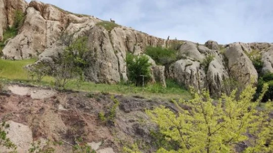 Koruma altındaki dağ keçileri Harput'ta görüntülendi
