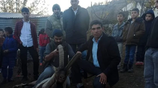 Köye inen dağ keçisi zarar görmesin diye saatlerce nöbet tuttular