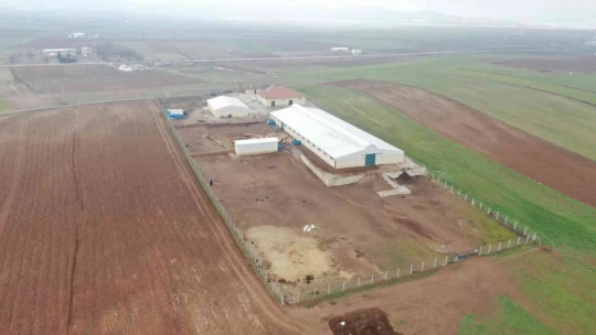 Köye yerleşen 3 çocuk annesi kadın devletten aldığı destekle çiftlik kurdu