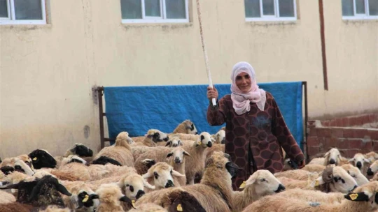 Köye yerleşen 3 çocuk annesi kadın devletten aldığı destekle çiftlik kurdu